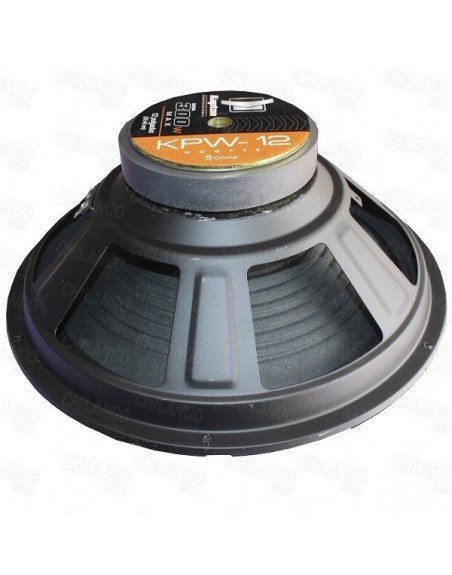 Bocina 12 Ideal Para Medios 300w maximos