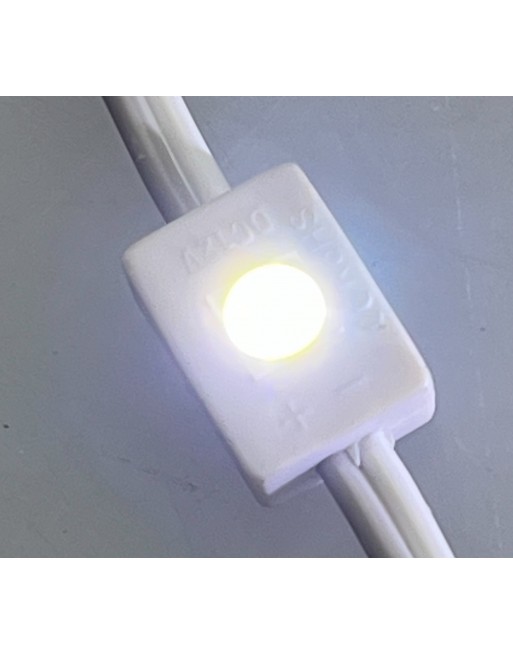 Modulo de 1 LED SMD 5050 BLANCO Para interiores y exteriores