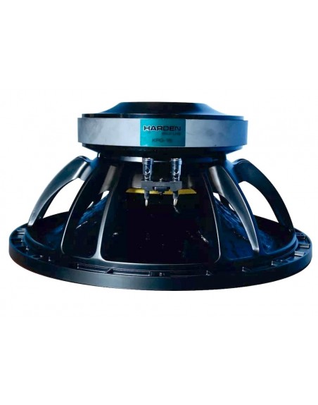 Subwoofer Profesional 15 Pulgadas Kpg 15
