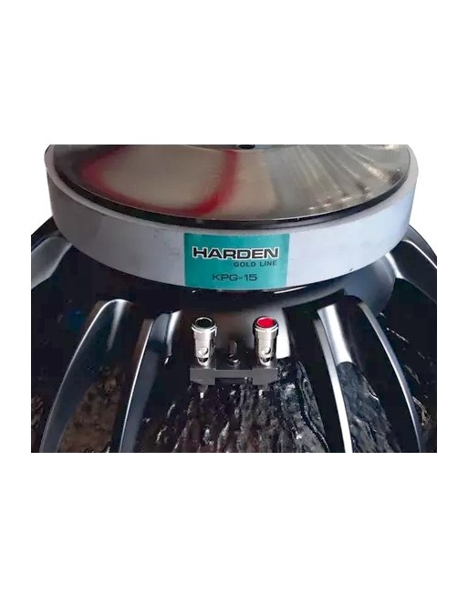Subwoofer Profesional 15 Pulgadas Kpg 15