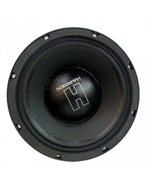 Subwoofer Profesional 10 Pulgadas Kpg 10