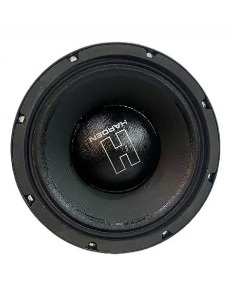 Subwoofer Profesional 10 Pulgadas Kpg 10