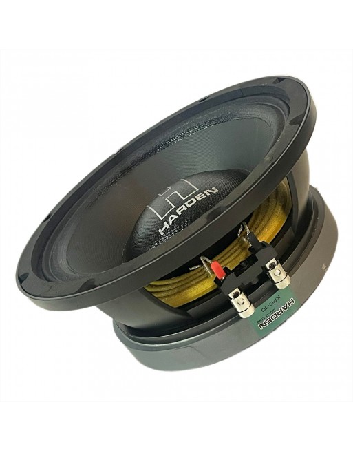 Subwoofer Profesional 10 Pulgadas Kpg 10