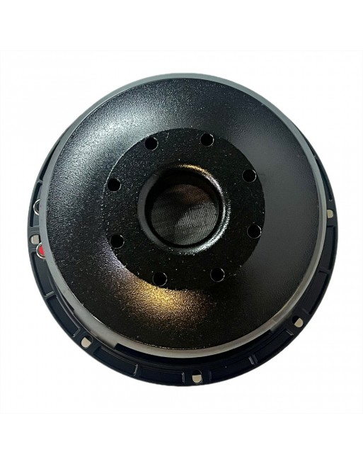 Subwoofer Profesional 10 Pulgadas Kpg 10