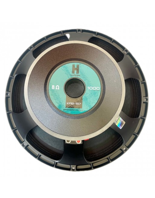 Subwoofer Profesional 15 Pulgadas KPB-157