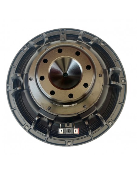 Subwoofer Profesional Neodymium 12 Pulgadas Kpn-12