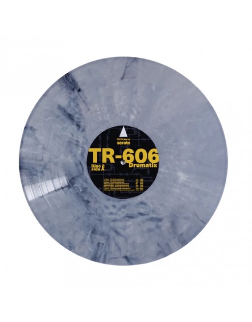 Serato Vinyl Performance Series 12 GID (2 discos)