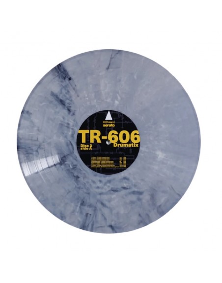 Serato Vinyl Performance Series 12 GID (2 discos)