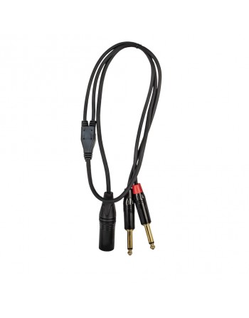 Extension audio 2 conec...