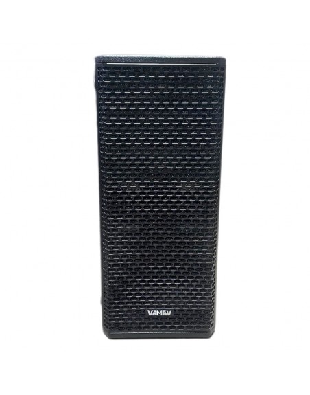 Subwoofer Amplificado Profesional Vamav Doble 10" KWS 210