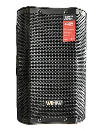 Bafle Amplificado...