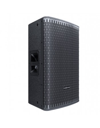 Bafle Profesional...