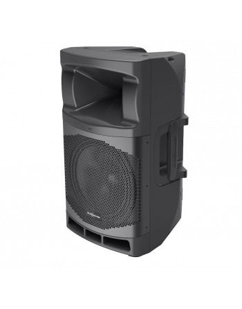 Bafle Profesional...