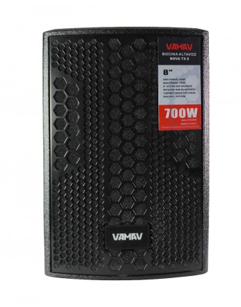 Bafle Amplificado...