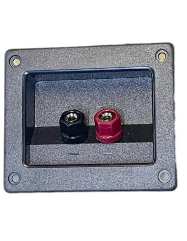 Conector Rectangular de atornillar para Bafle con 2 terminales tipo Banana