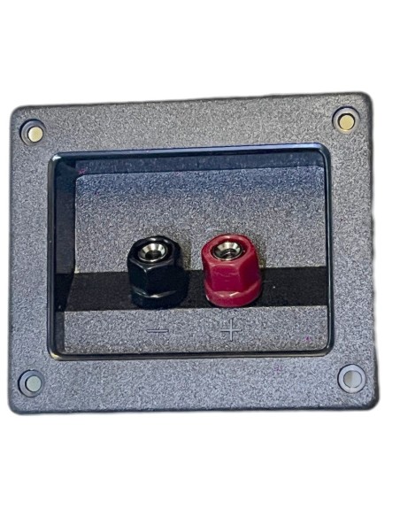 Conector Rectangular de atornillar para Bafle con 2 terminales tipo Banana