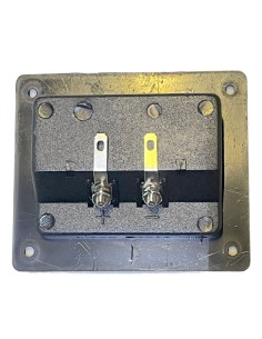 Conector Rectangular de atornillar para Bafle con 2 terminales tipo Banana 2
