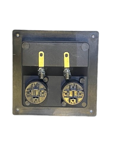 Conector Cuadrado de atornillar para Bafle con 2 terminales tipo Banana y 2  Speakon 8,9 x 8,9 cm