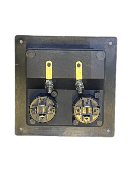 Conector Cuadrado de atornillar para Bafle con 2 terminales tipo Banana y 2  Speakon 8,9 x 8,9 cm