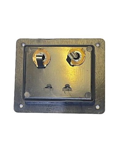 Conector Rectangular de atornillar para Bafle con 2 terminales tipo Push y 2 jack 6,3mm 10 x 8,5 cm