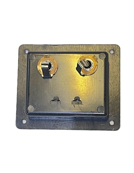 Conector Rectangular de atornillar para Bafle con 2 terminales tipo Push y 2 jack 6,3mm 10 x 8,5 cm
