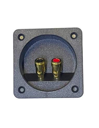 Conector Cuadrado de atornillar para Bafle con 2 terminal tipo Banana 8 x 8 cm