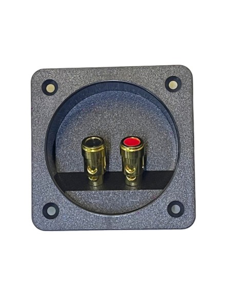 Conector Cuadrado de atornillar para Bafle con 2 terminal tipo Banana 8 x 8 cm