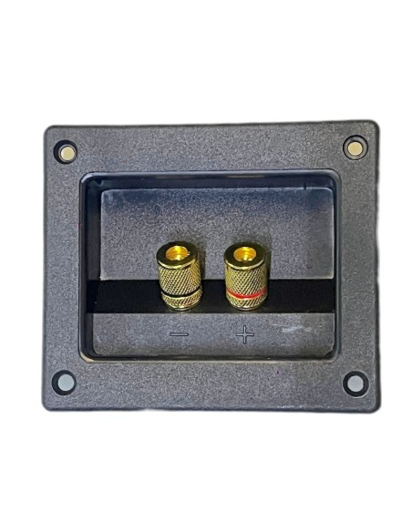 Conector Rectangular de atornillar para Bafle con 2 terminal tipo Banana Doradas