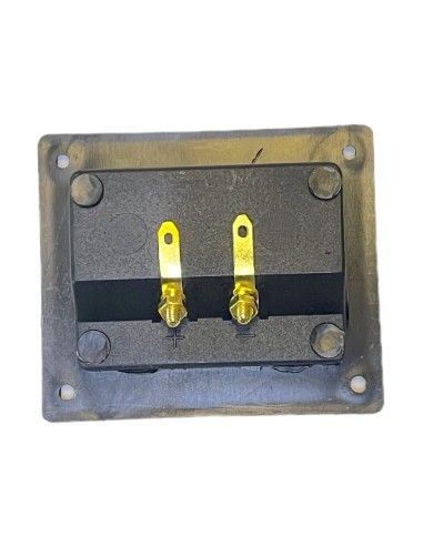 Conector Rectangular de atornillar para Bafle con 2 terminal tipo Banana Doradas