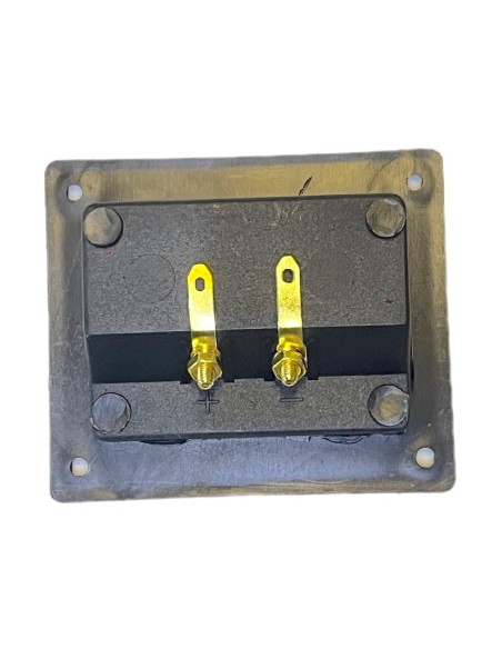 Conector Rectangular de atornillar para Bafle con 2 terminal tipo Banana Doradas