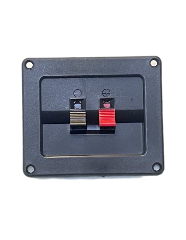 Conector Rextangular de Atornillar Para Bafle 2 terminales Push