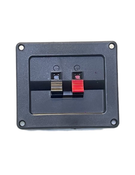 Conector Rextangular de Atornillar Para Bafle 2 terminales Push