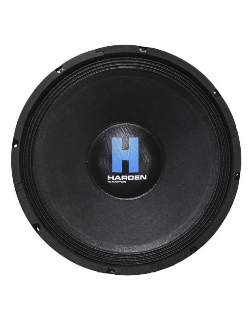 BOCINA 12 PULGADAS 250W RMS