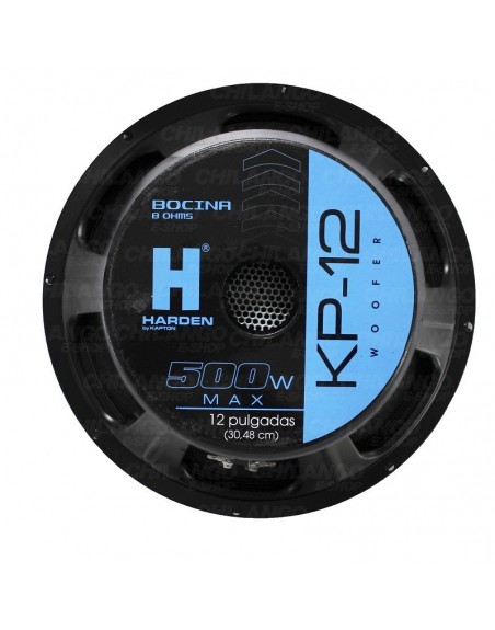 Bocina 12 Pulgadas 250W Rms