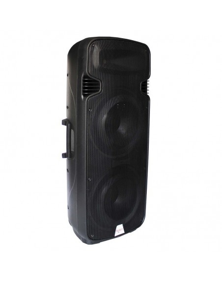 Bafle BIAMPLIFICADO CONCERT DOBLE 15 PASIVO 450W RMS