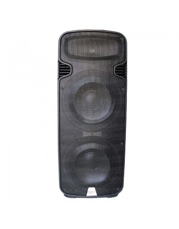 Bafle BIAMPLIFICADO CONCERT DOBLE 15 PASIVO 450W RMS 2