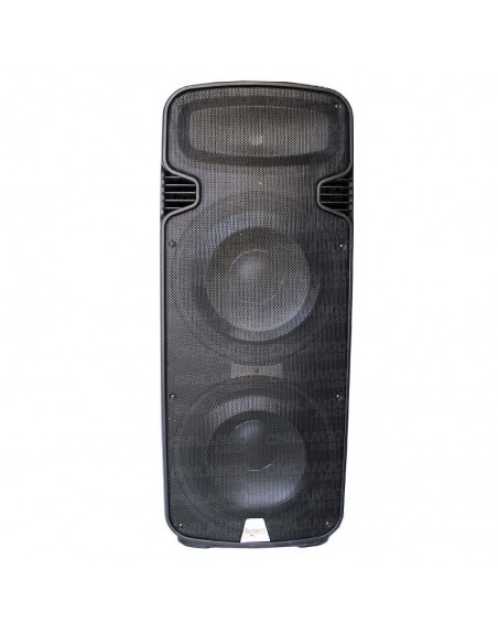 OFERTA Bafle CONCERT DOBLE 15 PASIVO 300W RMS