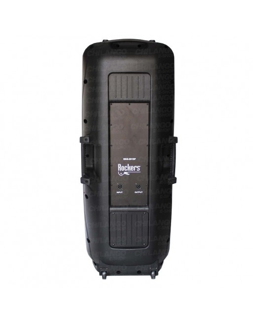 OFERTA Bafle CONCERT DOBLE 15 PASIVO 300W RMS