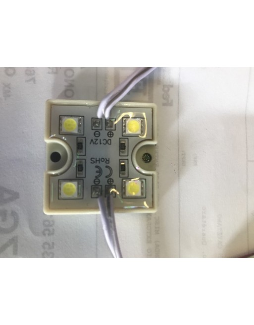 Modulo 4 Led 5050 Ultrabrillantes blanco frio