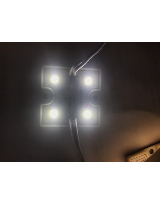 Modulo 4 Led 5050 Ultrabrillantes blanco frio